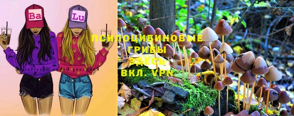 герыч Алексин