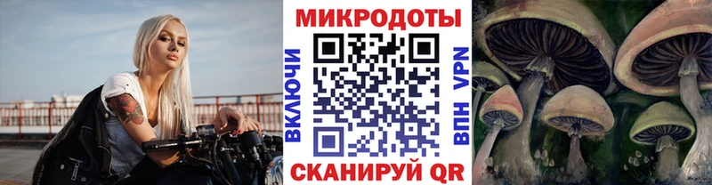 закладки мега онион Галлюциногенные грибы Cubensis Сокол