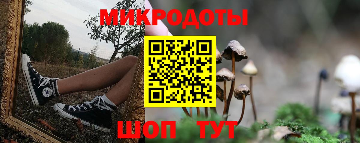 Псилоцибиновые грибы ЛСД Сокол