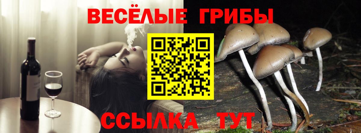 Псилоцибиновые грибы Psilocybe  Вход с VPN  Сокол 